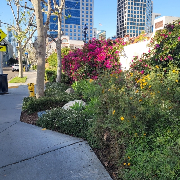 Like this listing to be notified of my upcoming Posh Shows! - Picture 7 of 8